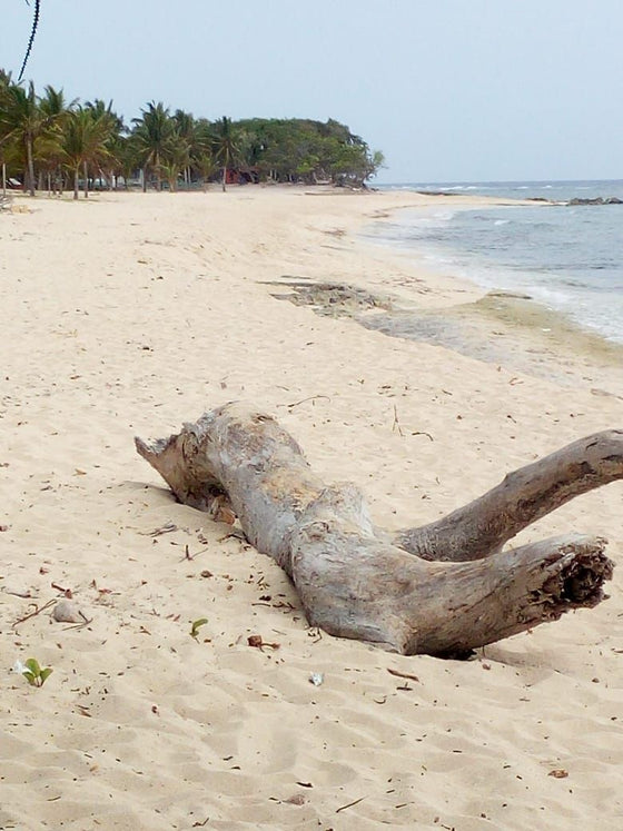 Terreno hotelero con playa venta Hotel Luperón, Puerto Plata
