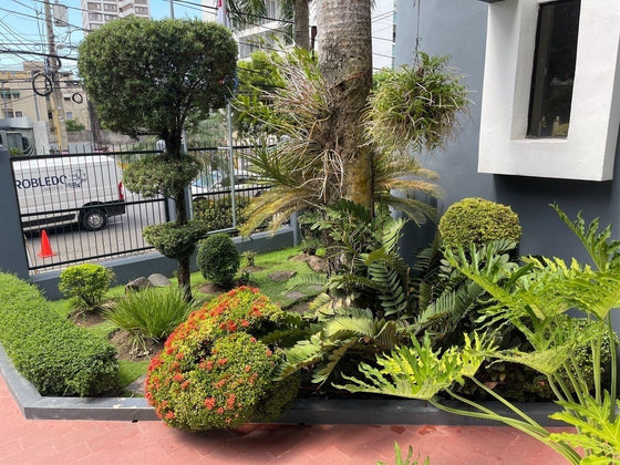 Oficina alquiler Reyna 1 La  Esperilla Santo Domingo