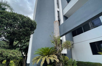 Oficinas en Alquiler 217.83 m² | La Julia | Santo Domingo-4