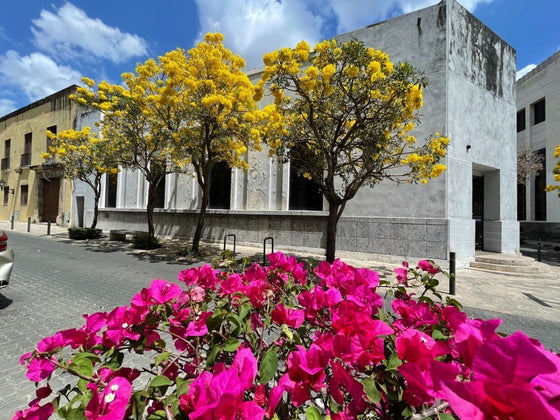 Locales comerciales alquiler Zona Colonial Santo Domingo