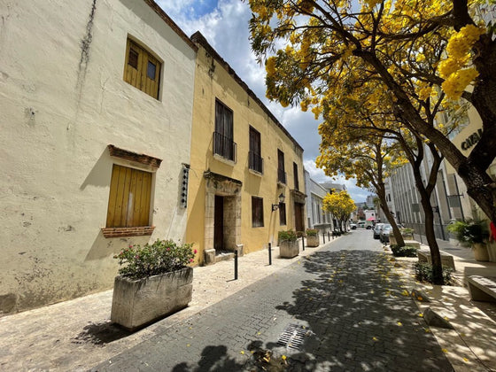Locales comerciales alquiler Zona Colonial Santo Domingo