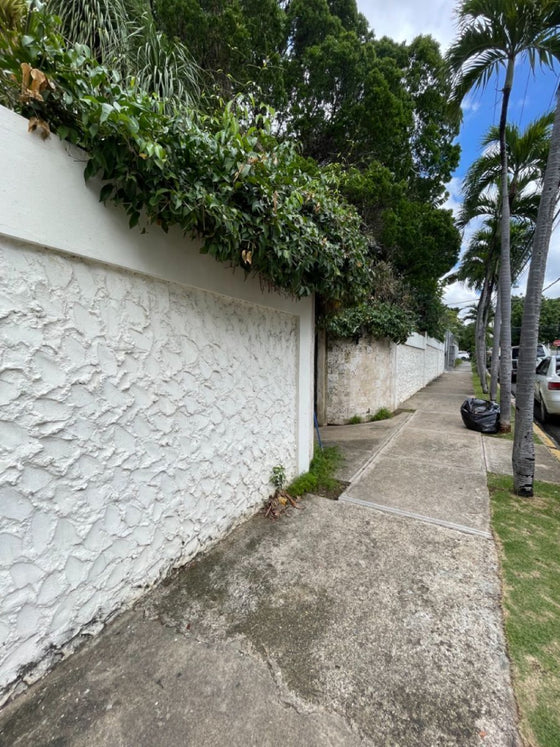 Oficinas Local Comercial Alquiler Gazcue Santo Domingo