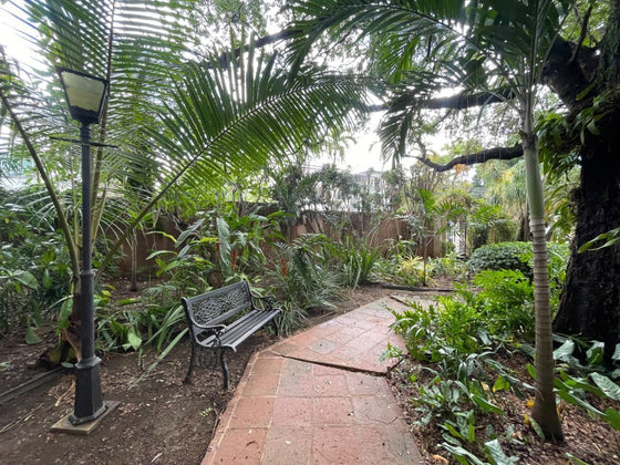 Oficinas Local Comercial Alquiler Gazcue Santo Domingo