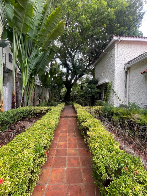 Oficinas Local Comercial Alquiler Gazcue Santo Domingo