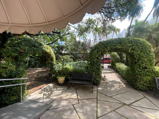 Oficinas Local Comercial Alquiler Gazcue Santo Domingo