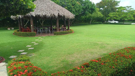 Casa Club sobre 37,142 m² de Terreno en Venta | La Cuaba, Santo Domingo Oeste