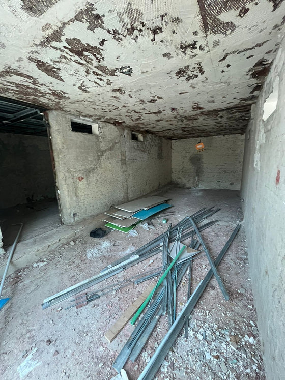 Locales comerciales oficina alquiler PIANTINI Santo Domingo