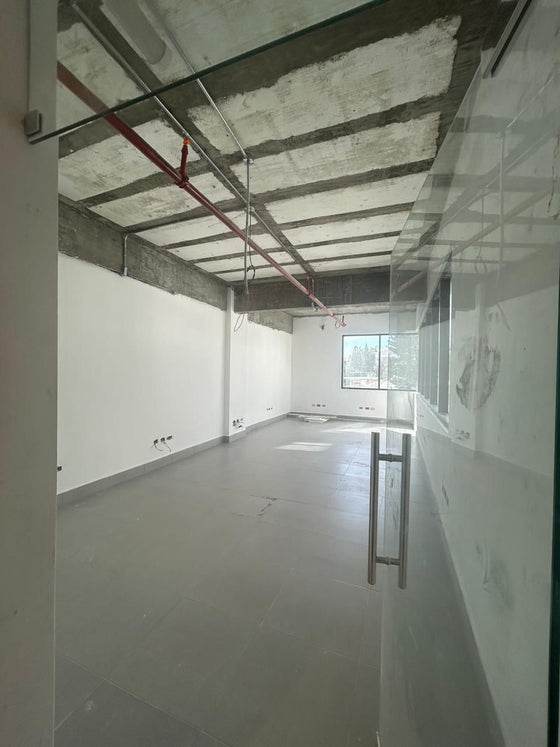 Oficinas alquiler Corporativo 2020 Arroyo Hondo, Santo Domingo 305 306