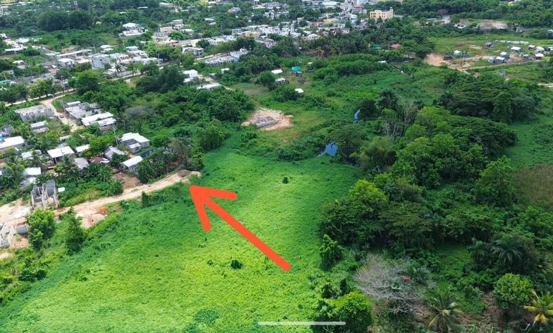 Terreno residencial industrial venta Hato Nuevo Santo Domingo Oeste