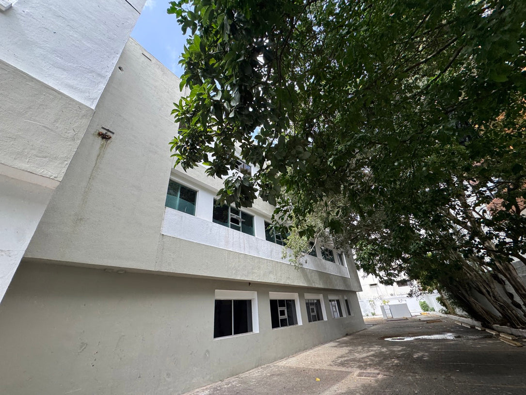 Edificio independiente oficinas Alquiler 5,000 mts2 Naco