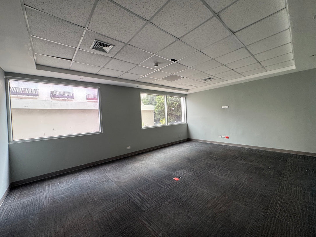 Edificio independiente oficinas Alquiler 5,000 mts2 Naco