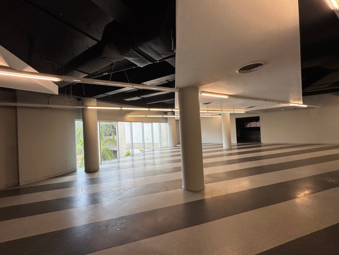 Edificio independiente oficinas Alquiler 5,000 mts2 Naco