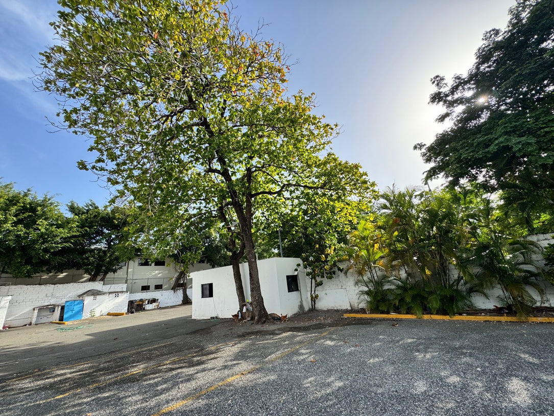 Terreno comercial alquiler 27 de Febrero Gazcue Santo Domingo
