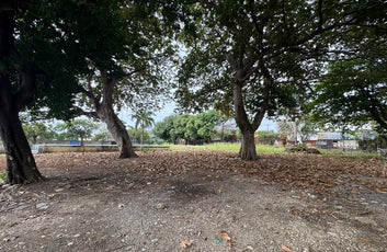 Terreno con Nave Industrial para Logística | 17,769 m² | Avenida Luperón – Herrera, Santo Domingo-17