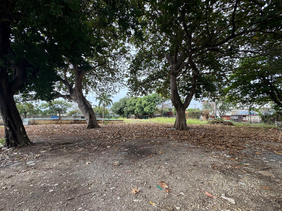 Nave terreno locales comerciales venta Ave. Luperon Herrera, Santo Domingo