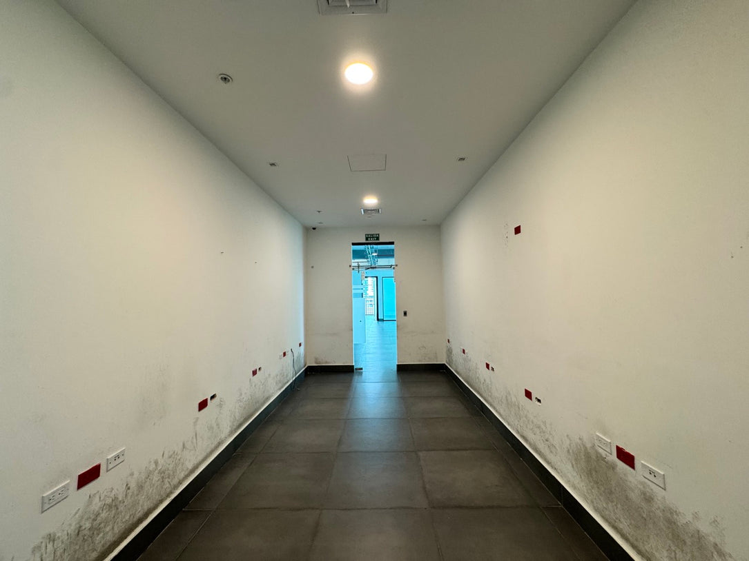 Oficina corporativa Clase A adecuada 803 m² en Alquiler Piantini, Santo Domingo