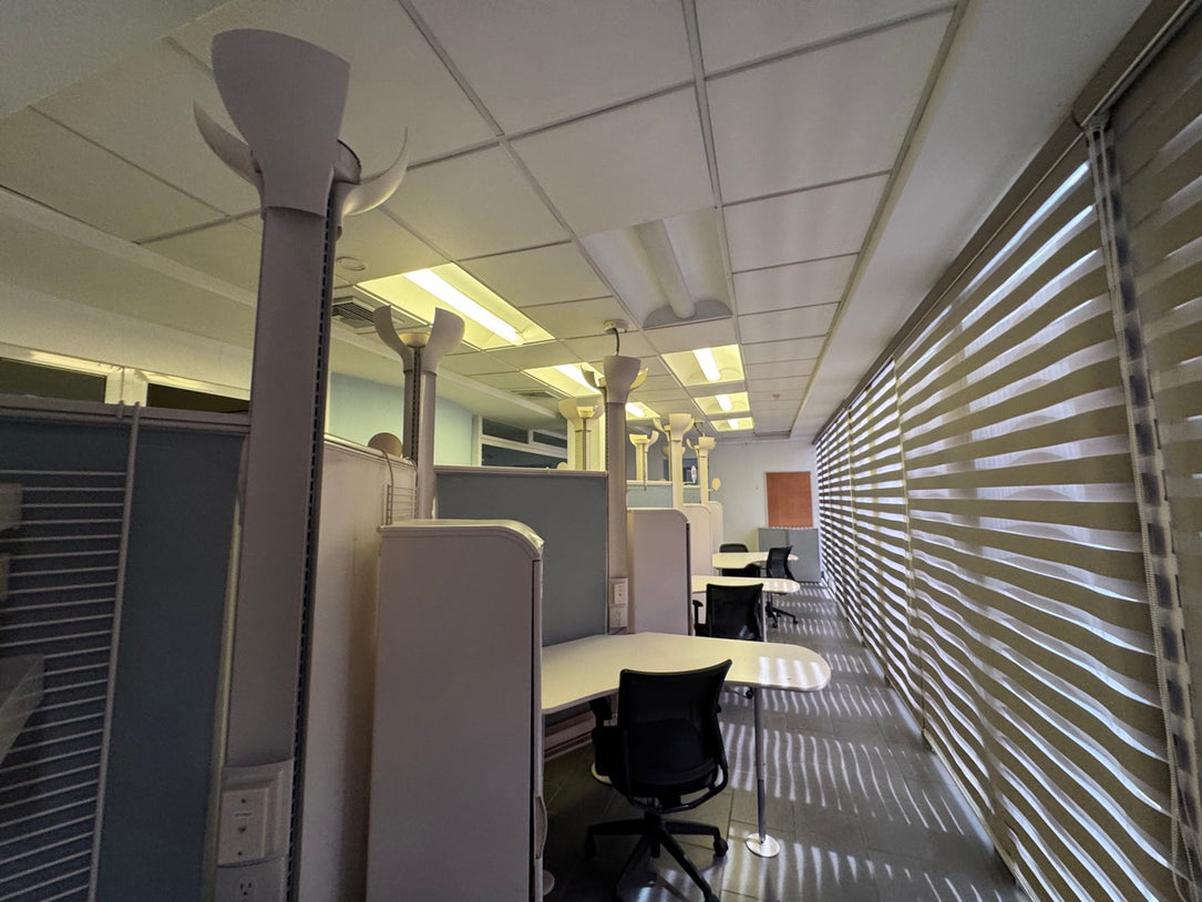 Edificio comercial alquiler Naco Santo Domingo