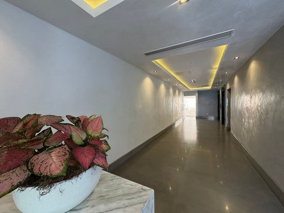 Edificio oficinas venta alquiler Piantini, Santo Domingo