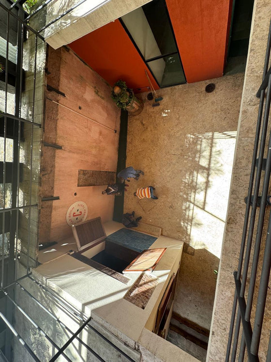 Locales comerciales alquiler Zona Colonial Santo Domingo