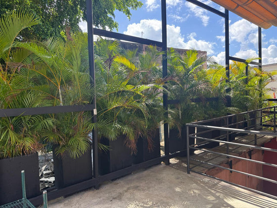 Locales comerciales alquiler Zona Colonial Santo Domingo