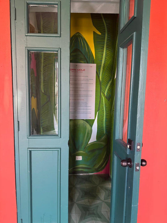 Locales comerciales alquiler Zona Colonial Santo Domingo