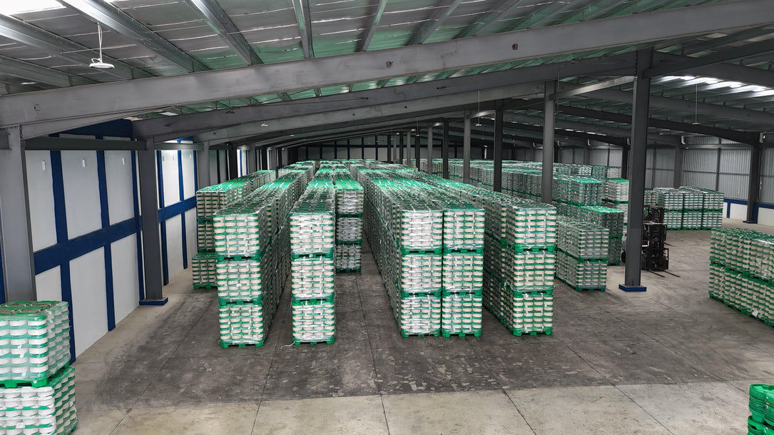 Naves Industriales Zona Franca Alquiler – 1,600 m² -5,300 m² | Aut. Duarte | Santo Domingo