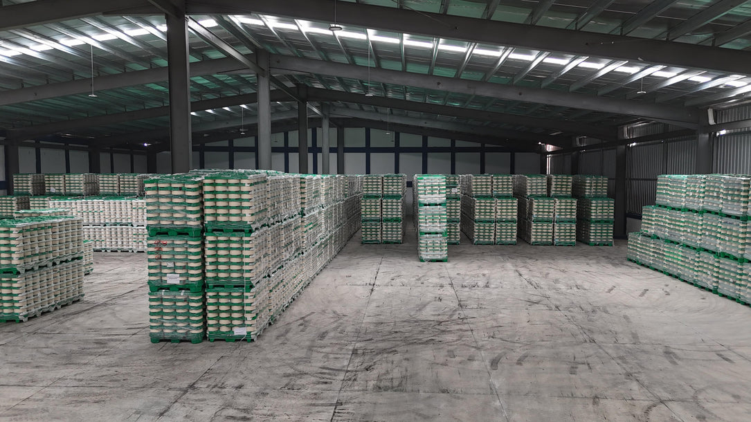 Naves Industriales Zona Franca Alquiler – 1,600 m² -5,300 m² | Aut. Duarte | Santo Domingo